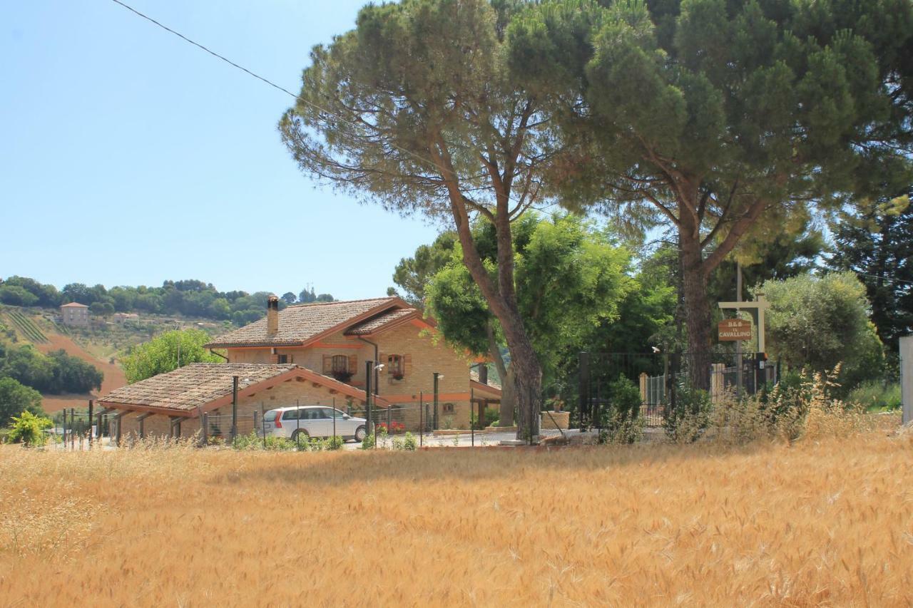 B&B Il Cavallino Civitanova Alta Exterior foto