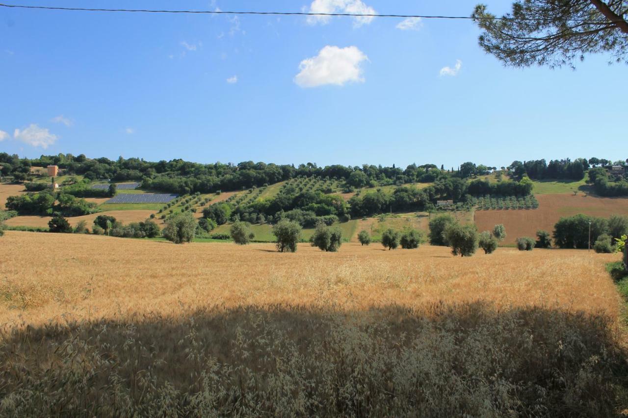 B&B Il Cavallino Civitanova Alta Exterior foto